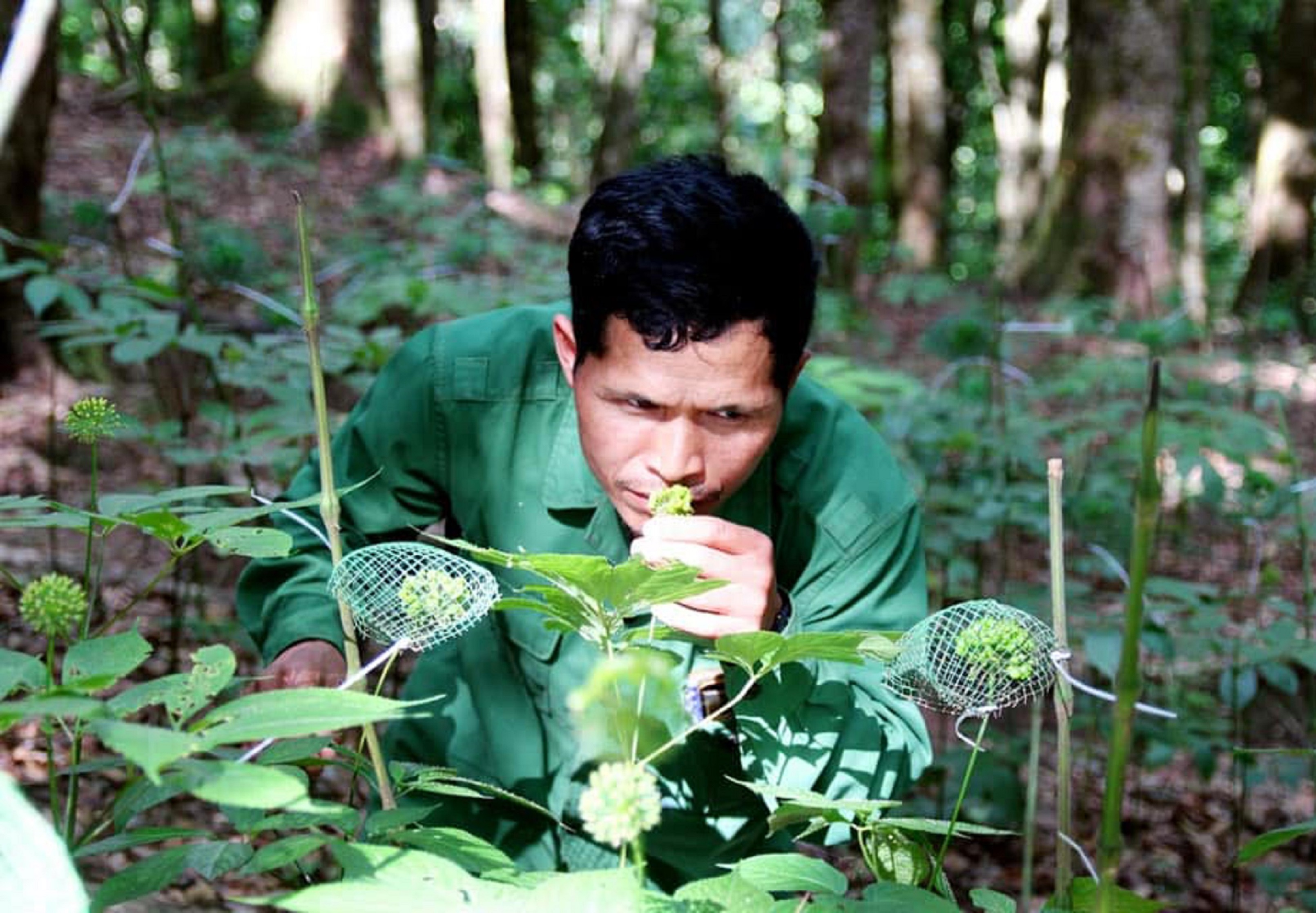 Chuyện kể ở vùng “quốc bảo”